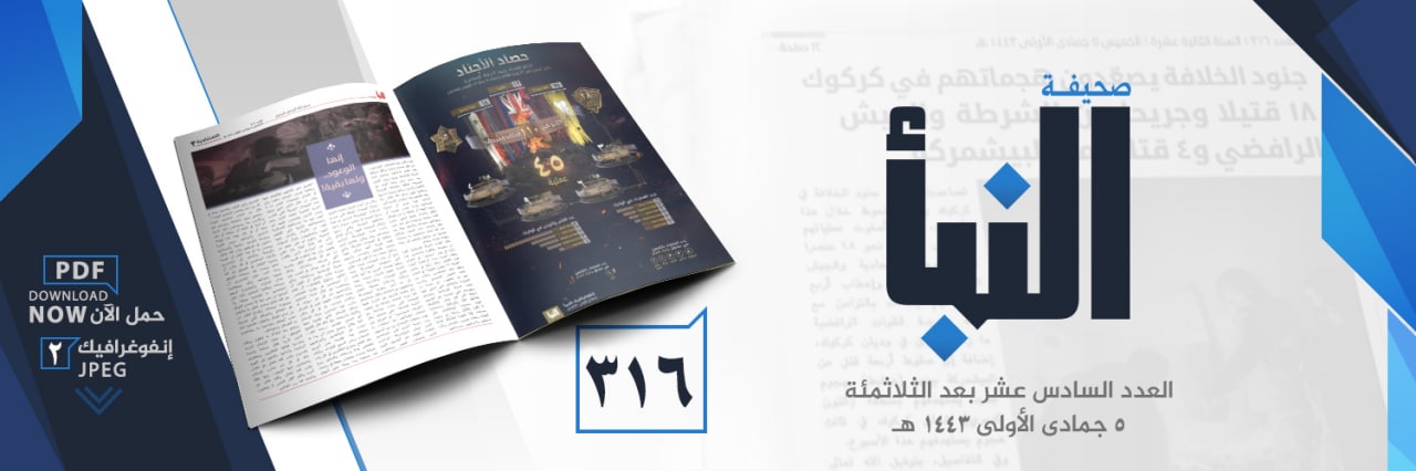 العدد 316