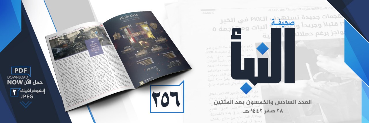 العدد 256