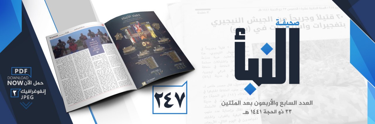 العدد 247