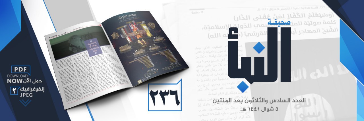 العدد 236