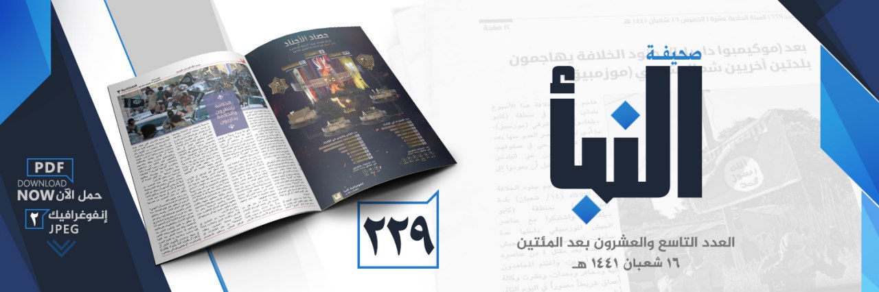 العدد 229