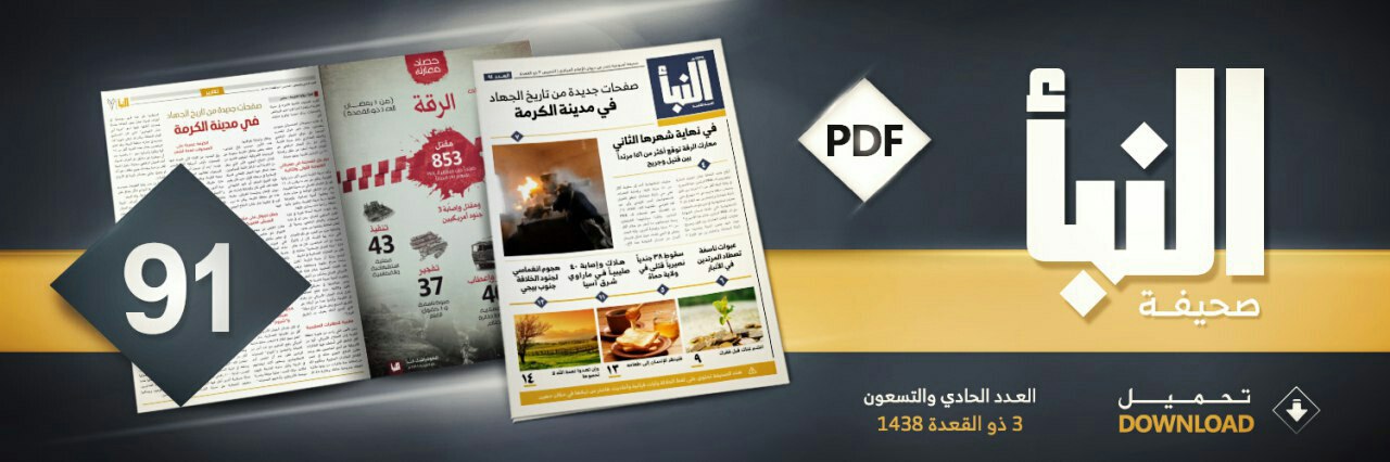 العدد 91