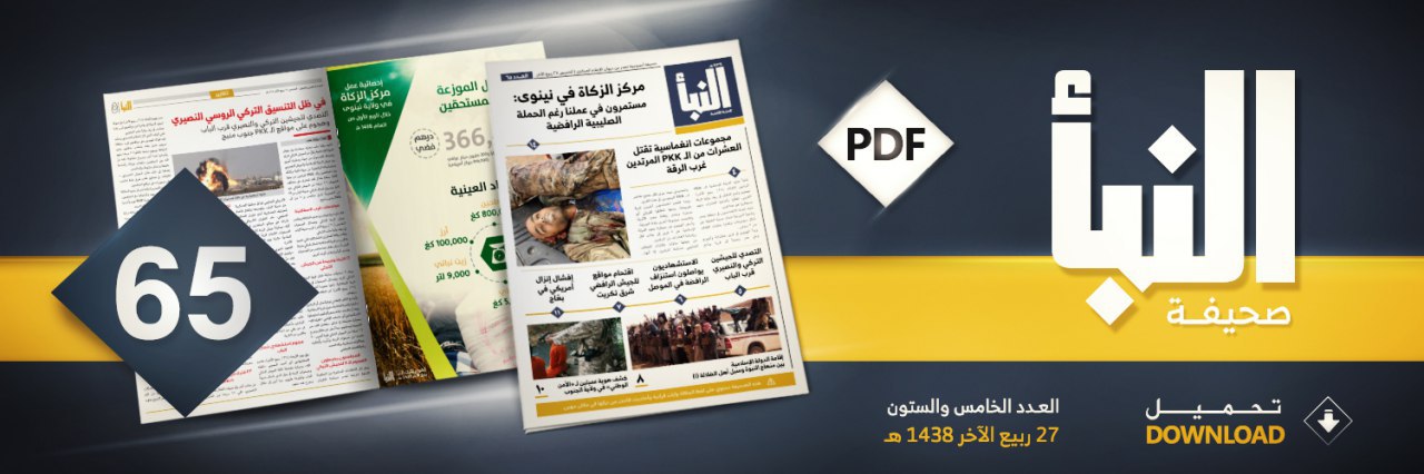 العدد 65