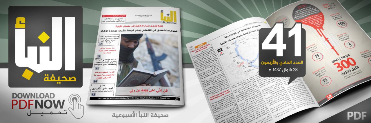العدد 41