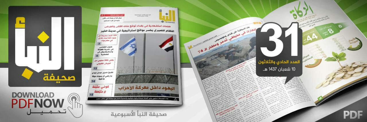 العدد 31