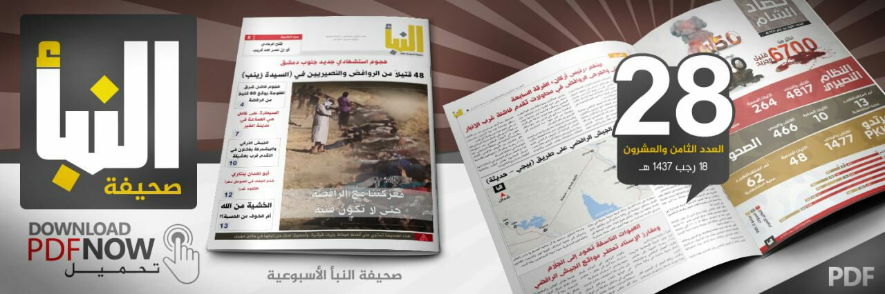 العدد 28