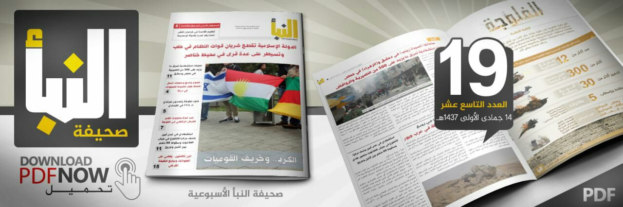 العدد 19