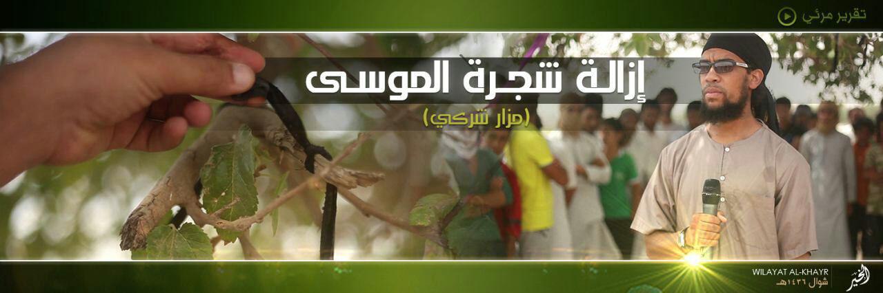 إزالة شجرة الموسى - وِلاية الخَير