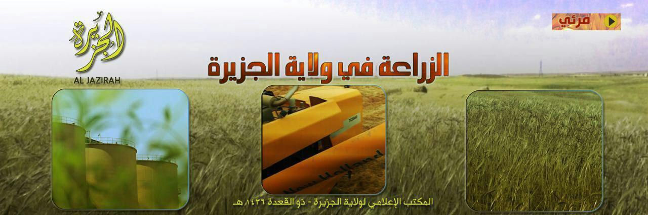 الزراعة في ولاية الجزيرة - وِلاية الجَزِيرَة