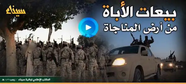 بيعات الأباة من أرض المناجاة – ولاية سيناء