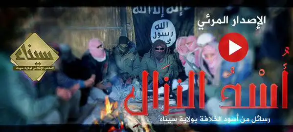 أُسْدُ النِزَالِ (رسائل من أسود الخلافة بولاية سيناء) – ولاية سيناء