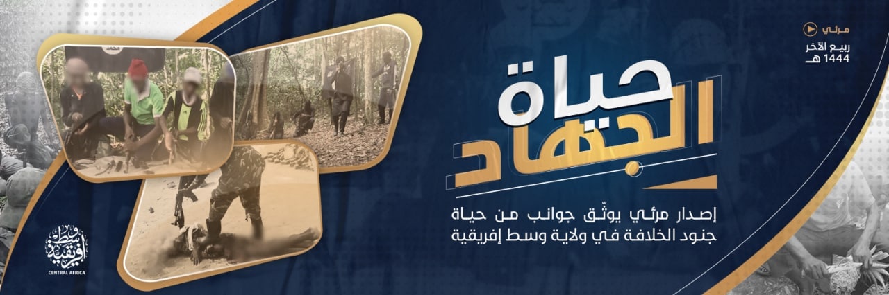 حياة الجهاد - وِلاية وسط إفريقية