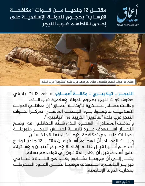 مقتل 12 جنديا من قوات ‘مكافحة الإرهاب’ بهجوم للدولة الإسلامية على إحدى نقاطهم غرب النيجر